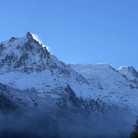 Ferienwohnung Les Alpins - Centre De Chamonix - Renove Avec Jardin Et Vue Imprenable Sur Le Montblanc Exterior foto