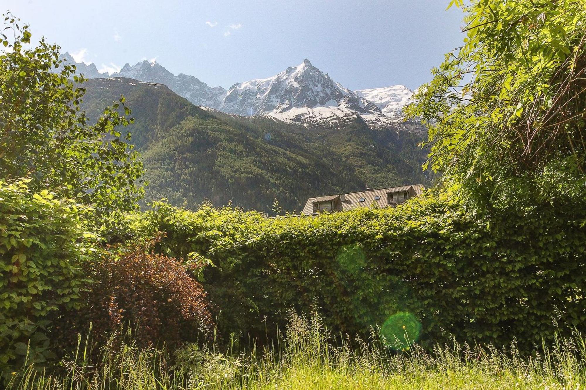 Ferienwohnung Les Alpins - Centre De Chamonix - Renove Avec Jardin Et Vue Imprenable Sur Le Montblanc Exterior foto